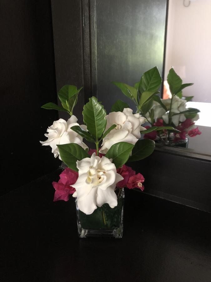 Flower Garden Self-catering Beau Vallon (Mahe)