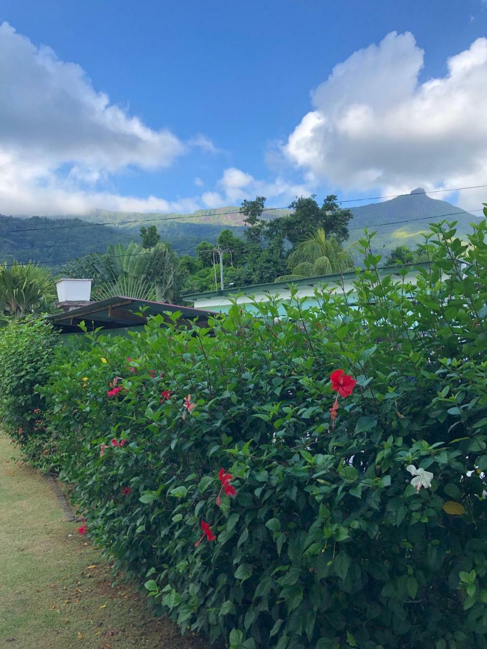Flower Garden Self-catering