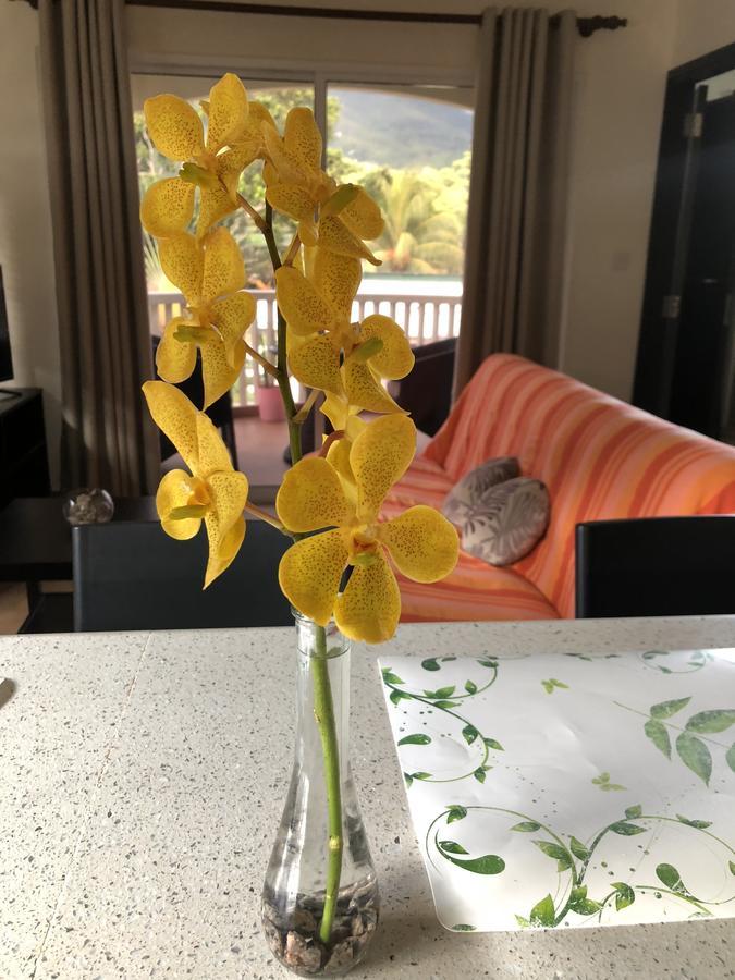 Flower Garden Self-catering Апартаменты Бо-Валлон
